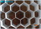 Hohe Starrheits-starkes Dekorations-Bienenwaben-Struktur-materielles einfaches zu installieren und zu fasten fournisseur