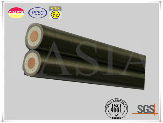 Single Core Heating Element of Mineral Insulated Cable for Industrial Use fournisseur